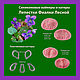 Violet Petals Forest set of Silicone Viners and Cutters