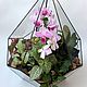 Orchidarium. The Floriana. Geometric Floriana with Orchid. Florariums. Glass Flowers. My Livemaster. Фото №5