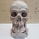 Skull box. Box. Ceramist_mamontov. Online shopping on My Livemaster.  Фото №2
