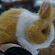 Голландский кролик Абрикос. Мягкие игрушки. Милые вещи от Аннушки. Ярмарка Мастеров.  Фото №5