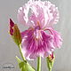 Iris de arcilla polimérica. Flowers. Marina Zhadan. Ярмарка Мастеров.  Фото №4