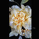Brooch-pin: Peari rose. Brooches. Silk flowers of Olga Dovgal (Odovgal). My Livemaster. Фото №4