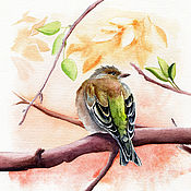 Картина принт Сокол Авторская иллюстрация с птицей