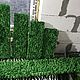 Set of phytopanels made of stabilized moss 5 pieces. Panels. Антонина Литовкина - Озеленение (Планета Флористики). My Livemaster. Фото №5