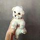 Teddy Animals: Puppy Ray, Teddy Toys, Chelyabinsk,  Фото №1