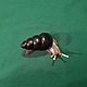 The Snail is Black. II collection. Figurines. NGS Masters. My Livemaster. Фото №4