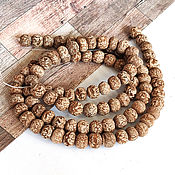 Материалы для творчества handmade. Livemaster - original item Beads Mahogany seeds of the Lauan tree 10h9mm 10 pcs.. Handmade.