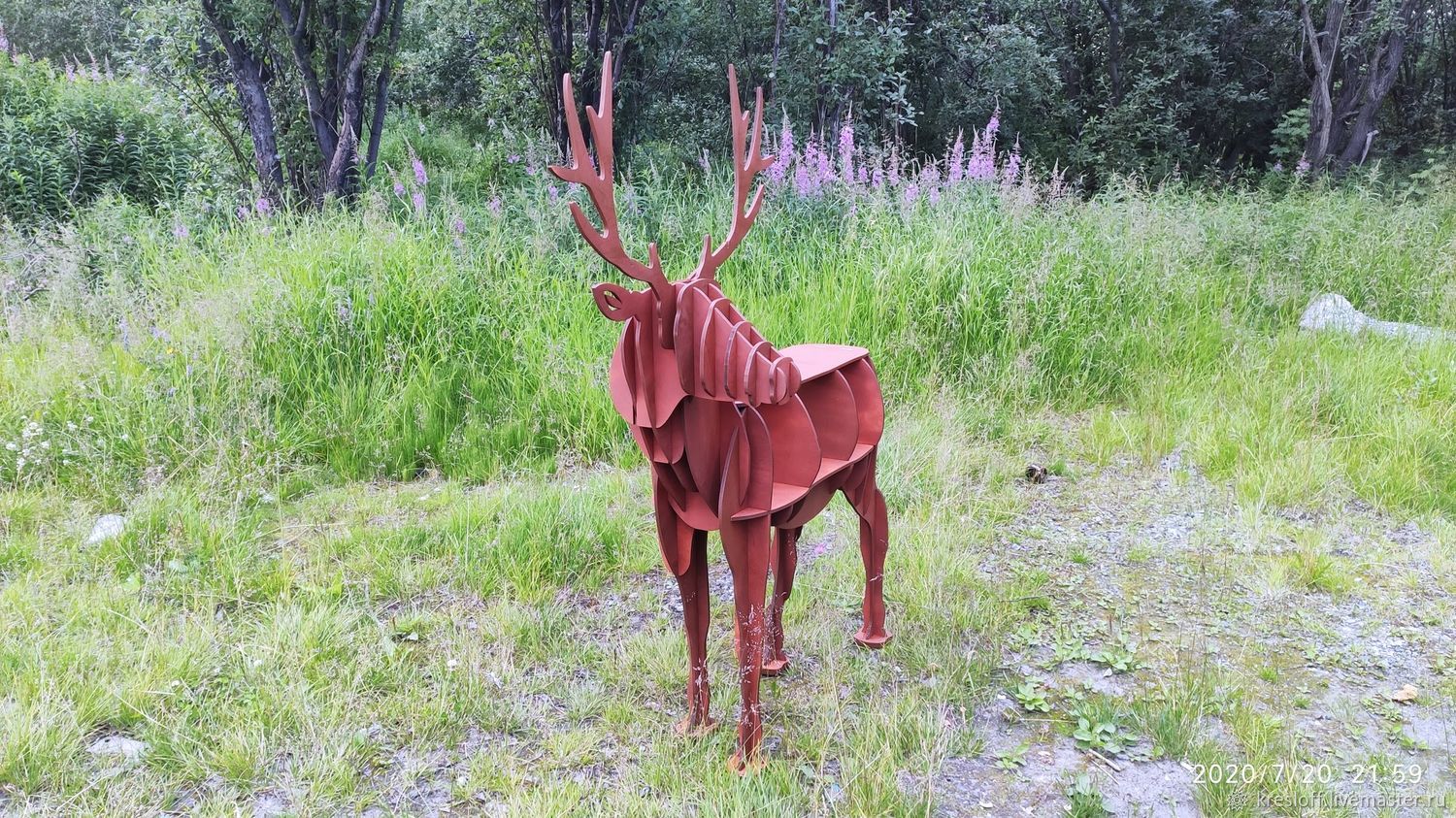 Олень выглядывающий из за дерева фото