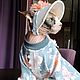Ropa de gato ' Sphynx Hat 2', Pet clothes, Biisk,  Фото №1