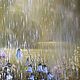 Солнечный дождь (Владимир Тарасов), Картины, Москва,  Фото №1