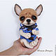 Dog toy ' Chihuahua tori'. Felted Toy. julwool. Online shopping on My Livemaster.  Фото №2