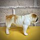Order English Bulldog: author's figurine. Creative workshop Cheerful porcelain. Livemaster. . Figurines Фото №3