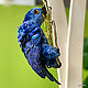 Asymmetric Parrot Earrings 'Hyacinth Macau'. Earrings. Coffeelena. My Livemaster. Фото №6