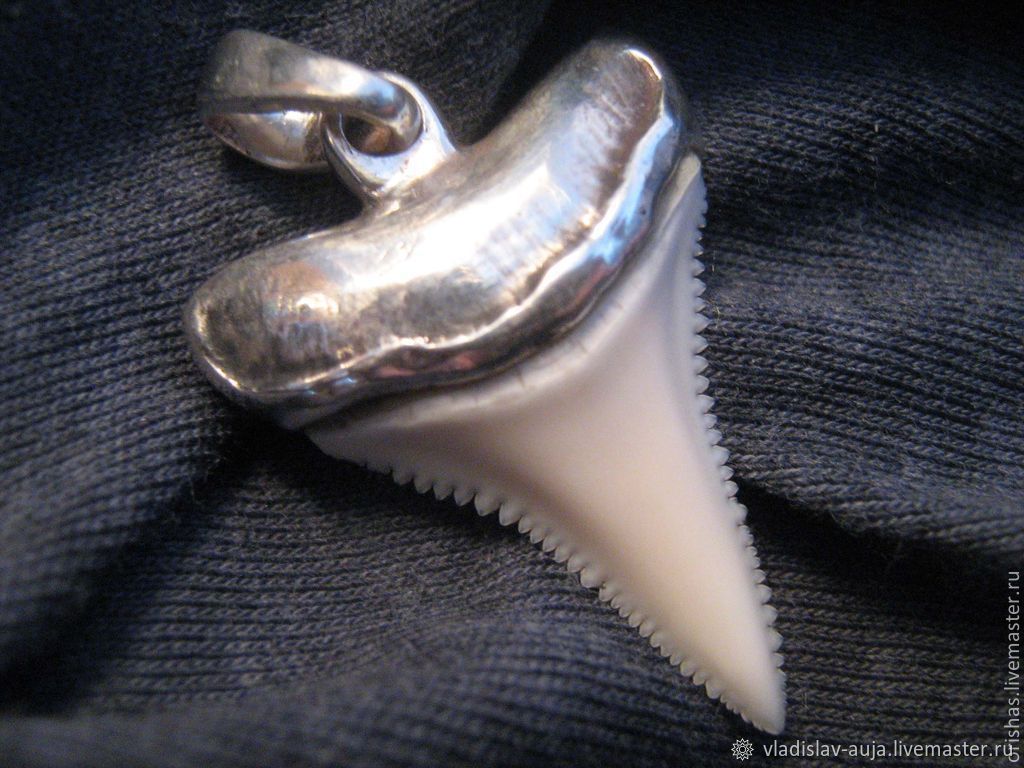 Кулон акулий зуб. Акулий зуб подвеска. Акулий клык. Зубы мегалодона амулет. Акулий клык.