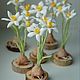  miniature white narcissus, Gifts for March 8, Moscow,  Фото №1