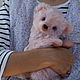 Мишка Молли. Мишки Тедди. Елена Перминова (elenaperminovabears). Ярмарка Мастеров.  Фото №5