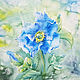 Watercolour Blue Poppy, Pictures, Novosibirsk,  Фото №1