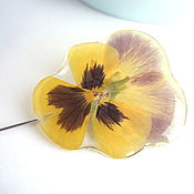 Украшения handmade. Livemaster - original item Brooch-needle Anyutka Yellow Viola Real Flower Resin Jewelry. Handmade.