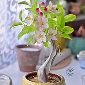 Орхидея из холодного фарфора.Каттлея белая