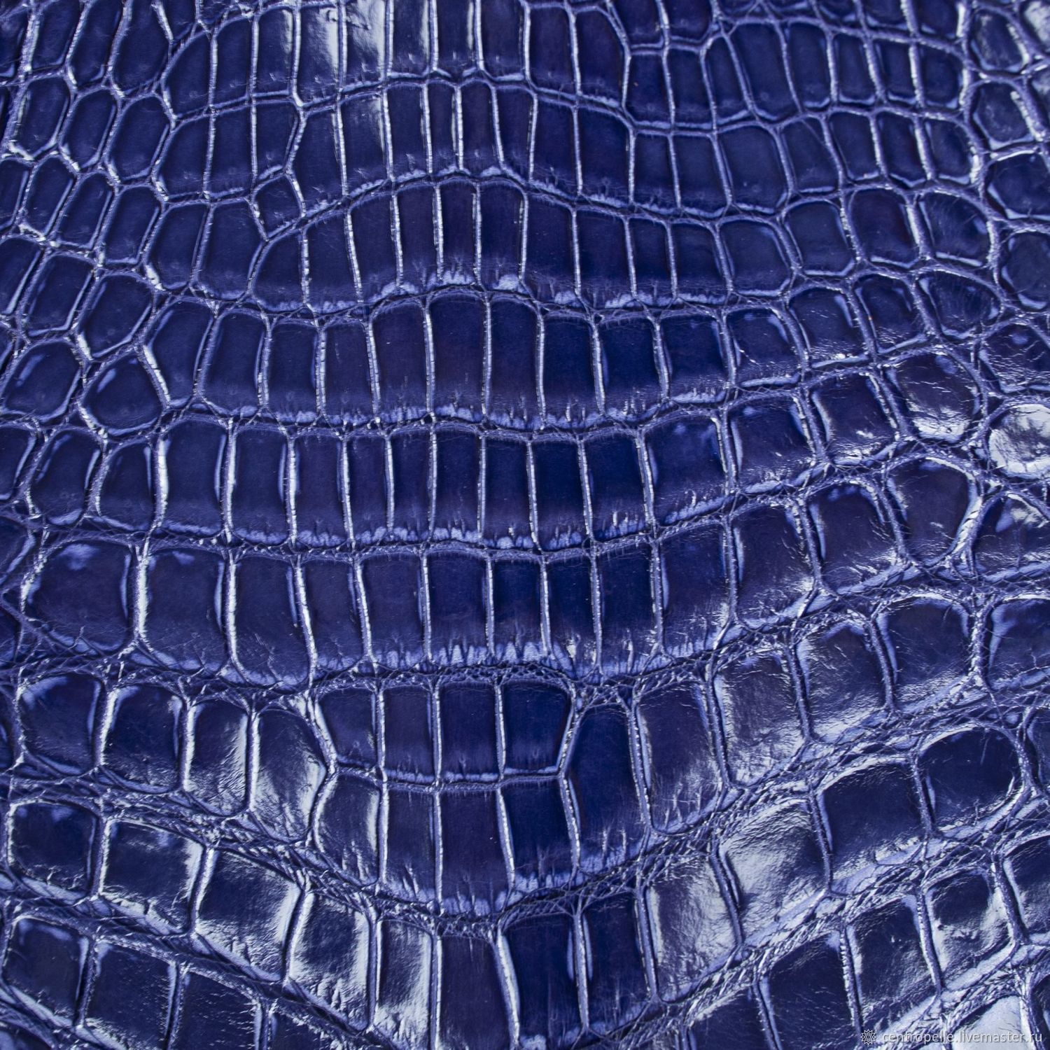 Цвет кожи крокодила. Синяя кожа крокодила. Синяя кожа крокодила. Кожзам iguana 2571. Зеленая крокодилья кожа.