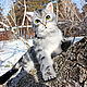 Portrait kitty. Realistic toy, Teddy Toys, Kamensk-Uralsky,  Фото №1