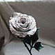 Forged rose, Flowers, Podolsk,  Фото №1