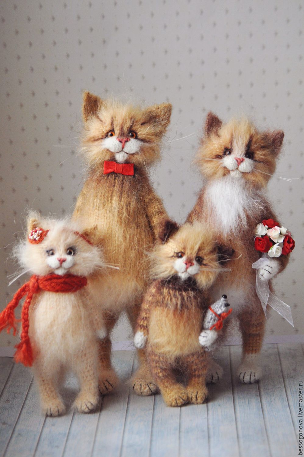 The cat family         65KR7COM 