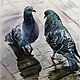Акварель Давай поговорим! Два голубя. После дождя. Картины. Маришкины картинки. Ярмарка Мастеров.  Фото №5