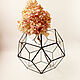 Order The Floriana for plants Star Balloon. Geometric vase for Floriana. Glass Flowers. Livemaster. . Florariums Фото №3