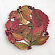 Wild grapes in autumn - plate d24cm. Plates. Elena Zaychenko - Lenzay Ceramics. Online shopping on My Livemaster.  Фото №2