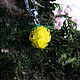  малина желтая, Подвеска, Симферополь,  Фото №1