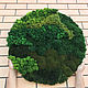 Order Stabilized fern moss (0,5 kg) from the manufacturer. Антонина Литовкина - Озеленение (Планета Флористики). Livemaster. . Natural materials Фото №3