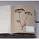 Album for a herbarium Fluffy meadow (A4, 20 plants, Kraft). Photo albums. Albums and notebooks (Anna). My Livemaster. Фото №6