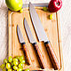 Order Set of kitchen knives 'Classic-2'. zlathunter. Livemaster. . Kitchen sets Фото №3