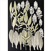 Сухоцветы плоский гербарий лепестки василька лепестки гайлардии
