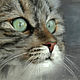  портрет кота по фото на заказ, Картины, Новомосковск,  Фото №1