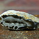 Agate with geode, Brazil (12AG). pcs. Stones. beadsbeautiful2. My Livemaster. Фото №4