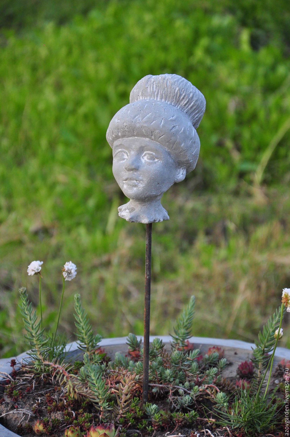 buy the poppy head from the concrete garden, flowerbeds, for buy the poppy head from the concrete garden, flowerbeds, for