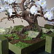Сакура в стиле Sokan («Раздвоенный ствол»). Бонсай. Олег (art-bonsai). Ярмарка Мастеров.  Фото №6