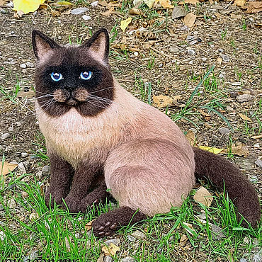 Куклы и игрушки ручной работы. Ярмарка Мастеров - ручная работа Кот Jacky-Пончик валяный из шерсти котик с портретным сходством. Handmade.