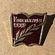 Винтаж: Значок «Конституция СССР». Значки винтажные. СКАРАБЕИ Времени (Scarabs' time). Ярмарка Мастеров.  Фото №4