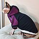 Order Clothing for cats 'Hoodie with hood - Champion'. Happy-sphynx. Livemaster. . Pet clothes Фото №3