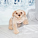 Labrador puppy. Stuffed Toys. Dilara. Online shopping on My Livemaster.  Фото №2
