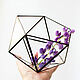 The Floriana. Geometric vase for Floriana. The Floriana for plants, Florariums, St. Petersburg,  Фото №1