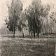 Quiet forest landscape with coal. Pictures. Chistiakov Vsevolod (chistiakov-art). Online shopping on My Livemaster.  Фото №2