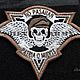 Cool stripe on the twist skull with wings chevron patch, Patches, St. Petersburg,  Фото №1