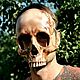 Маска-череп человека, маска скелета, Карнавальные маски, Ярославль,  Фото №1