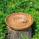 Wooden plate made of cedar wood. 340 mm. T25, Plates, Novokuznetsk,  Фото №1