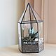 The Floriana. Florarium with aloe and Echeveria. The Floriana tower. Succulents. Florariums. Glass Flowers. Online shopping on My Livemaster.  Фото №2