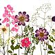 Набор растений плоской сушки № 24, цветочный микс. Сухоцветы для творчества. СухоЦвет. Ярмарка Мастеров.  Фото №5